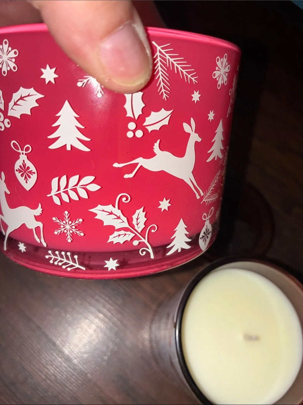 2 Candles Holiday Reindeer & Mittens Decorative Candle Set - Red & White